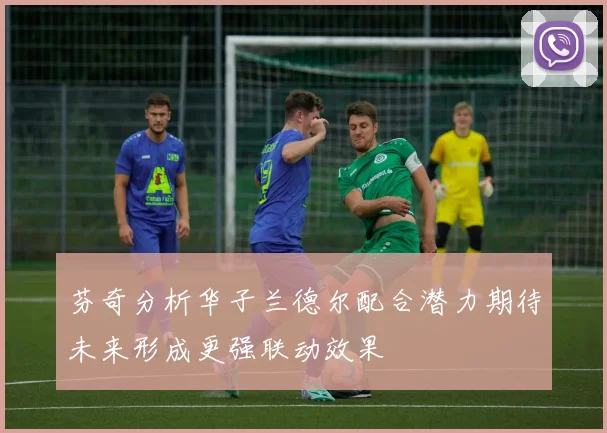 芬奇分析华子兰德尔配合潜力期待未来形成更强联动效果